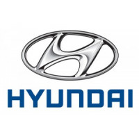 LED Keinzeichenbeleuchtungs Module Hyundai